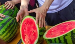 吃瓜免费高效,免费吃瓜，轻松获取娱乐资讯的秘诀